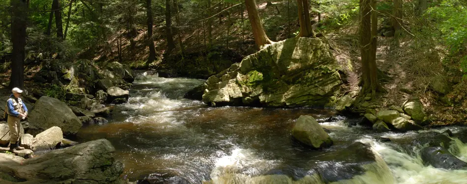 New Jersey's Free Fishing Days - June 4 and October 22, 2022