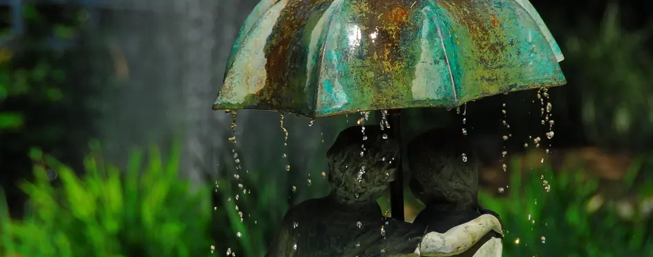 30+ Gardens and Arboretums You Should Visit Spring, 2024!